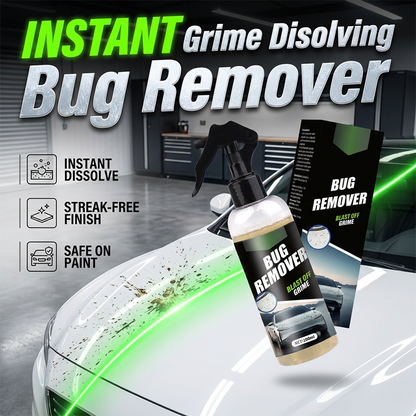 Spray limpiador de suciedad y restos de insectos para el coche